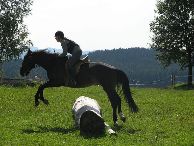 Reitart Vielseitigkeit