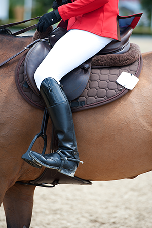 Weltranglisten Reiten 2013