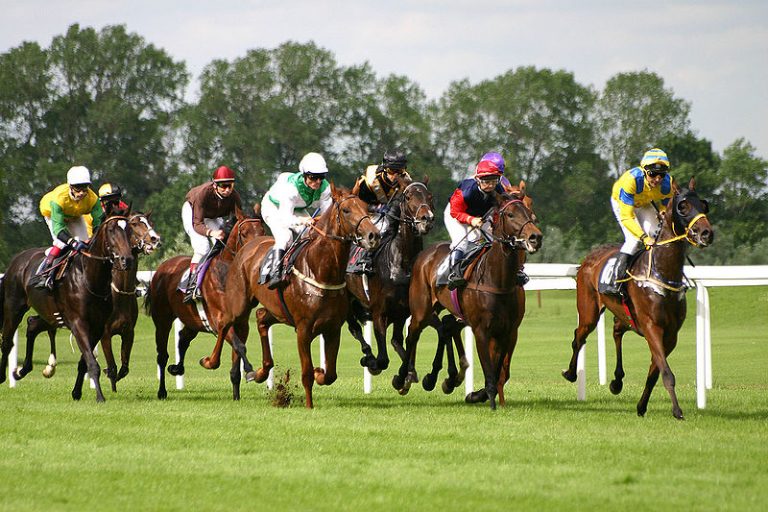 Reitart Gallop