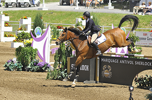 Reitart Springen