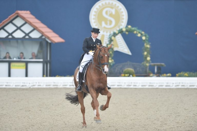 HORSES & DREAMS meets Brazil