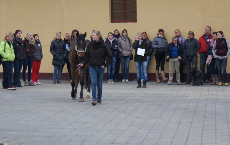 HCCG – Bewegen und bewegt werden