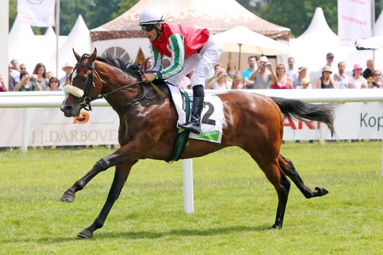 Dashing Home gewinnt Almased-Vital-Rennen