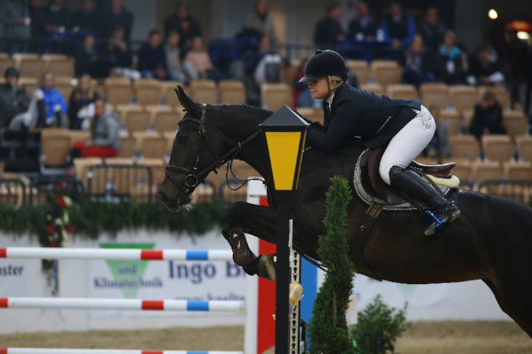 Jungtalente bei Holstein International erfolgreich