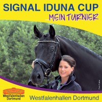 SIGNAL IDUNA CUP 2016