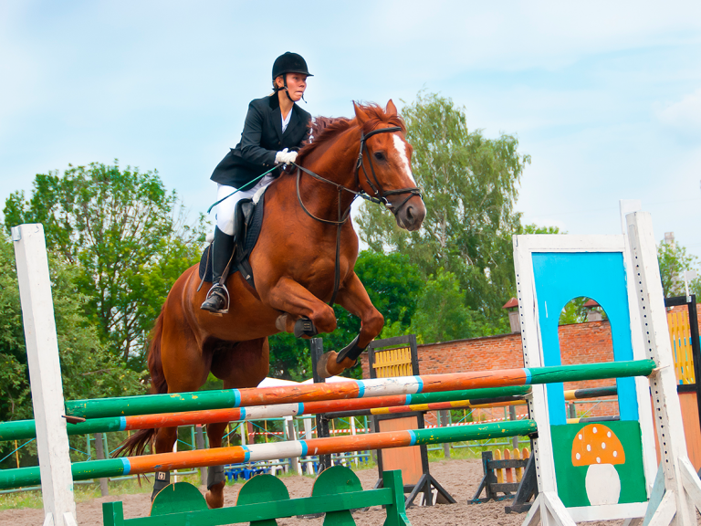 Springreiten