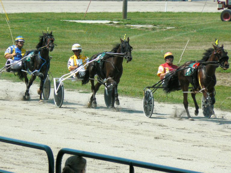 Trabrennsport