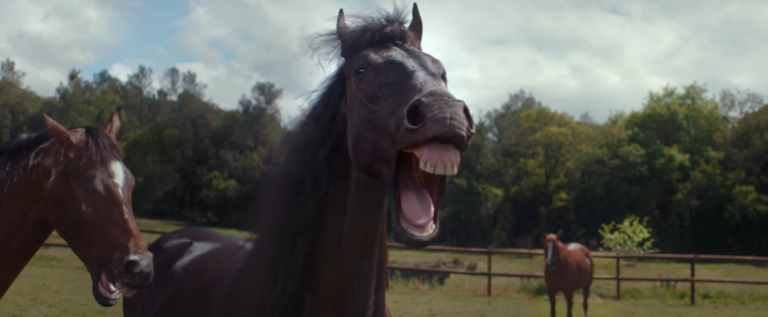 Pferde in der TV Werbung