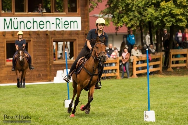 Internationales Mounted Games Turnier 2017