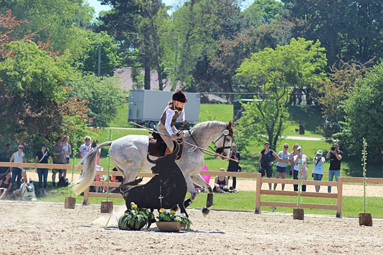 (M)Ein Tag auf der Pferd International 2017