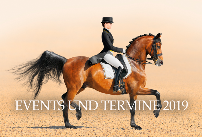 Termine rund ums Pferd 2019