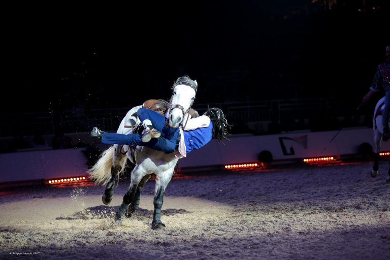 Trickreiter und Zirkuskühe