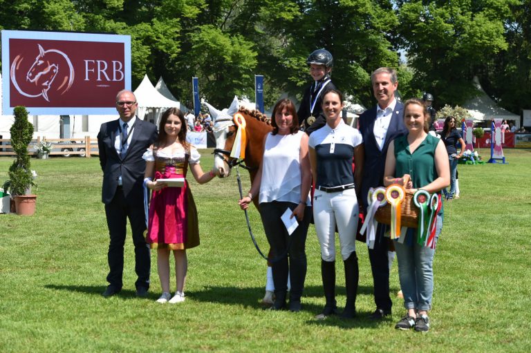 Wilde Mustangs und junge Sterne