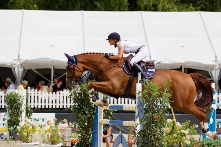 Chiemsee Pferdefestival 2019 auf Gut Ising