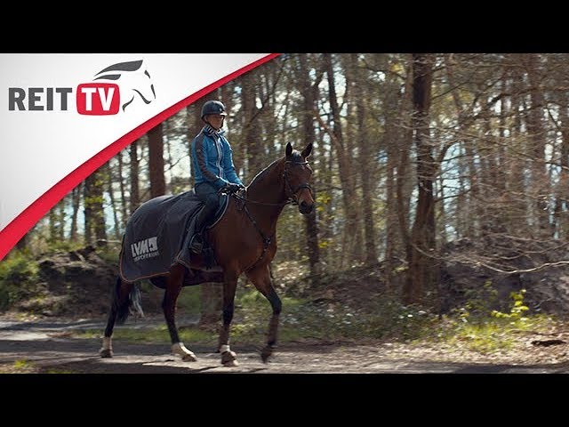 Warum Reitsport so besonders ist | REITTV