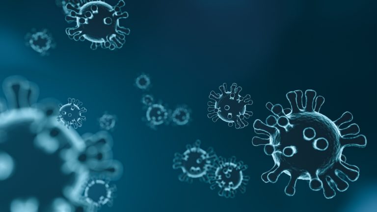 Coronavirus: FN dringt auf Wiederzulassung des Reitunterrichts