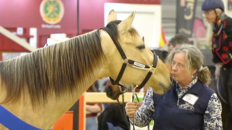 EQUITANA 2022: SAVE THE DATE