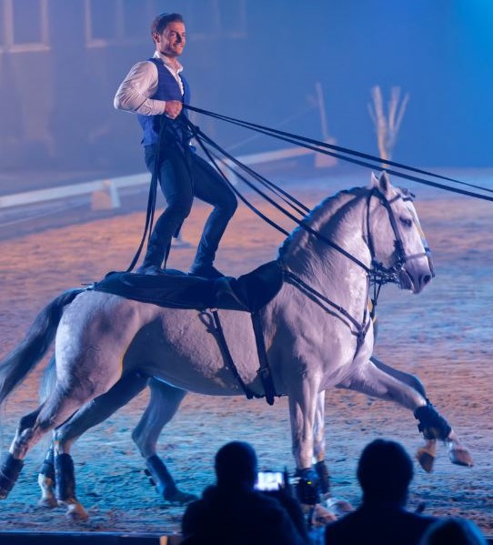 Ungarische Post auf Französisch – das bunte Schauprogramm bei Pferd International München