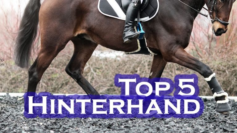 Top 5 Dressur-ÜBUNGEN: STÄRKUNG Hinterhand
