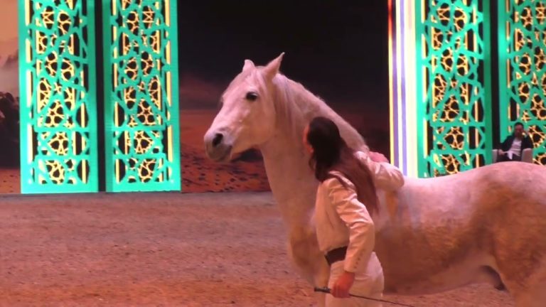 EQUITANA 2023