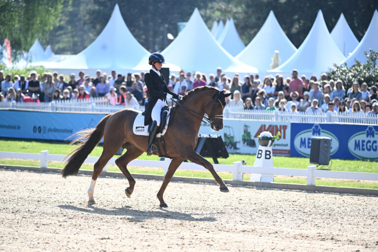 Pferd International München – Eine Hommage an die Welt der Pferde